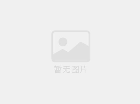  糾偏器在輸送帶系統(tǒng)中的應用